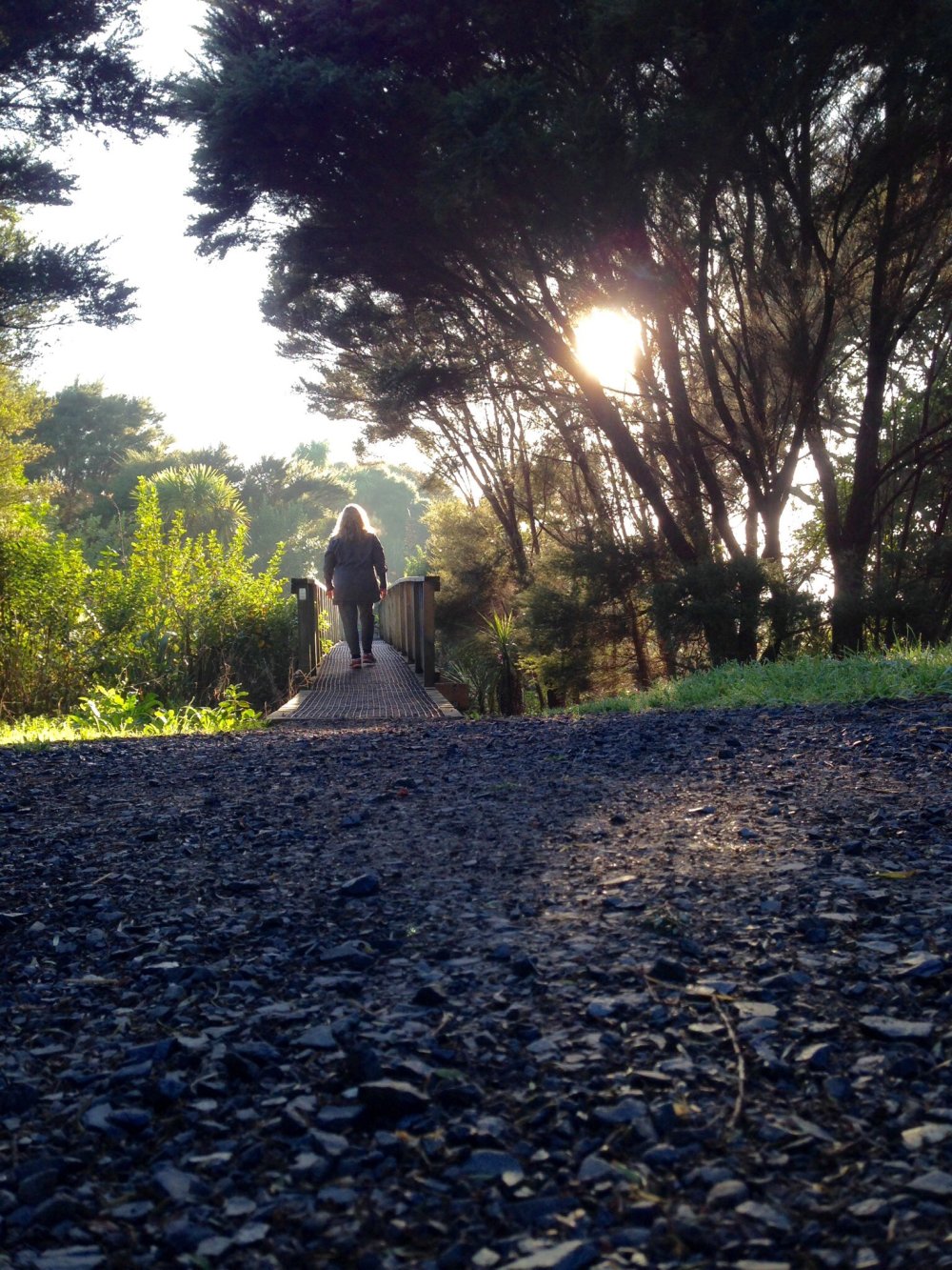 MorningWalk