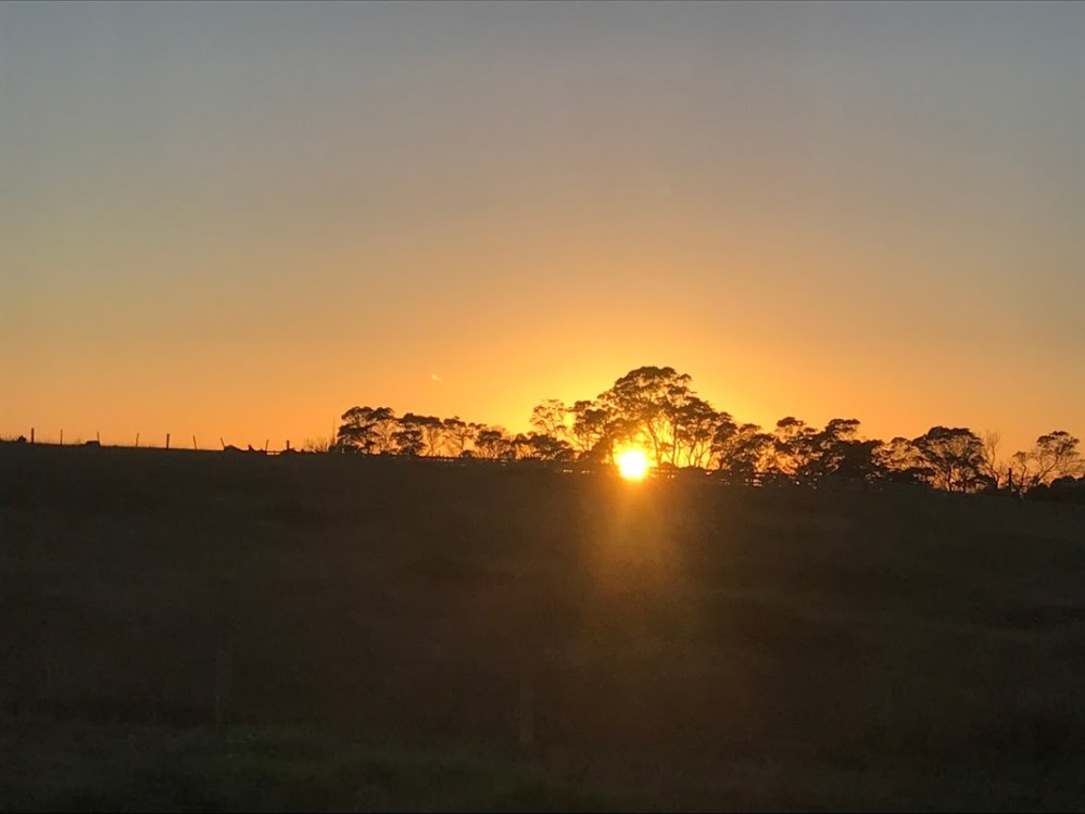 sunriseMarch16