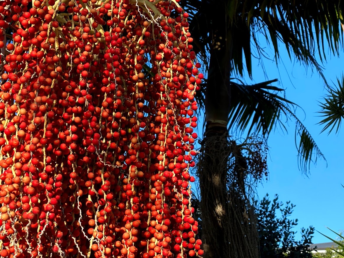 IMG_4329