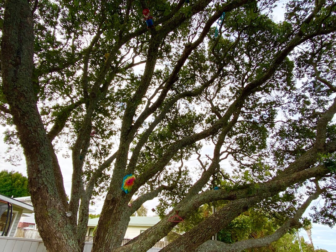 ISPyTree